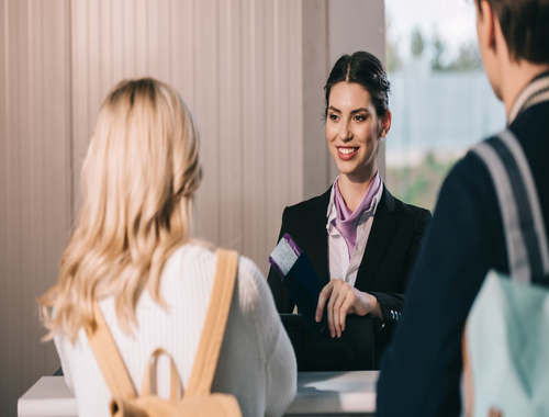 Licence Professionnelle Management Du Tourisme Et De L'Hotellerie